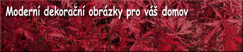 Modern� dekora�n� obr�zky pro v� domov